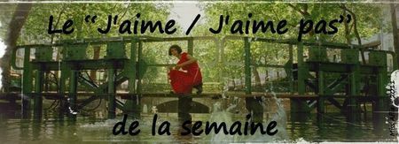 J'aime-J'aime pas-logo-miss-Alfie