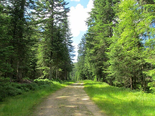 blog ger13