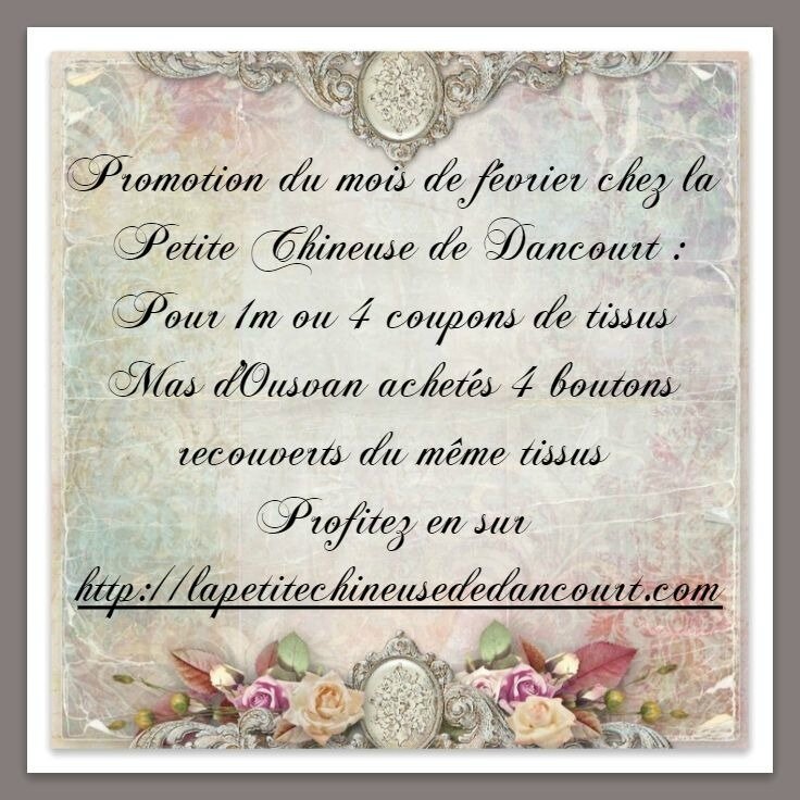 promotion la petite chineuse de dancourt