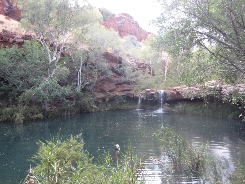 Karijini NP - Dales Gorge (28)