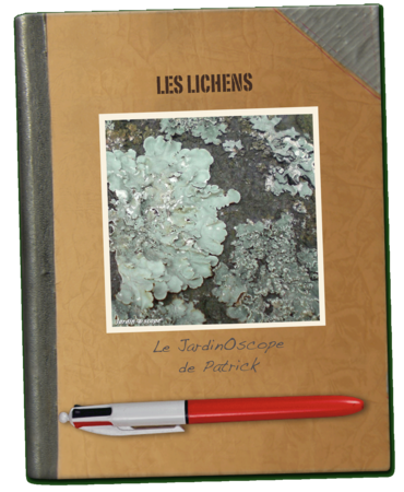 Les Lichens