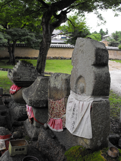 Panorama japonais, épisode Cerfs & Lanternes