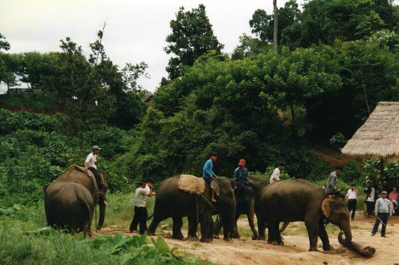 thai008