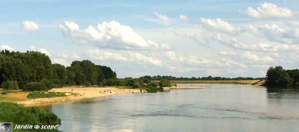 Plage-en-bord-de-Loire-à-Combleux