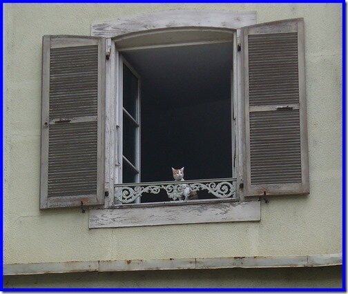 Mireille