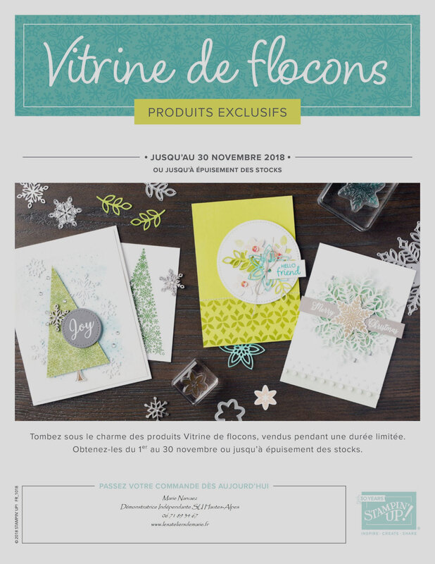 VITRINE DE FLOCONS 2018