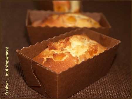 Minis Cakes Fruités … Citron – Melon recettes Minis Cakes coco pépites de Sophie Dudemaine