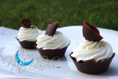 mini-foret-noire4