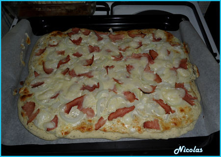 Pizza_roquefort_oignon_jambon_et_p_te_basilic_par_nico____7