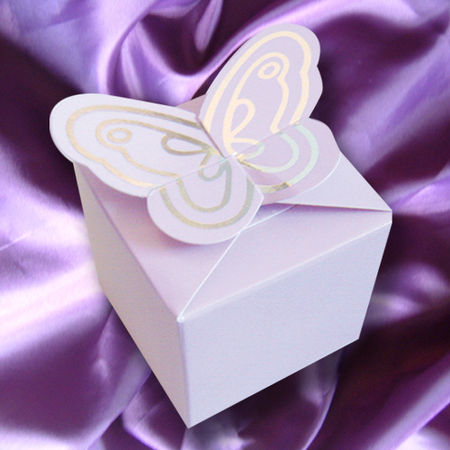 butterfly_box_large