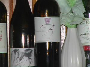 IMGA6213