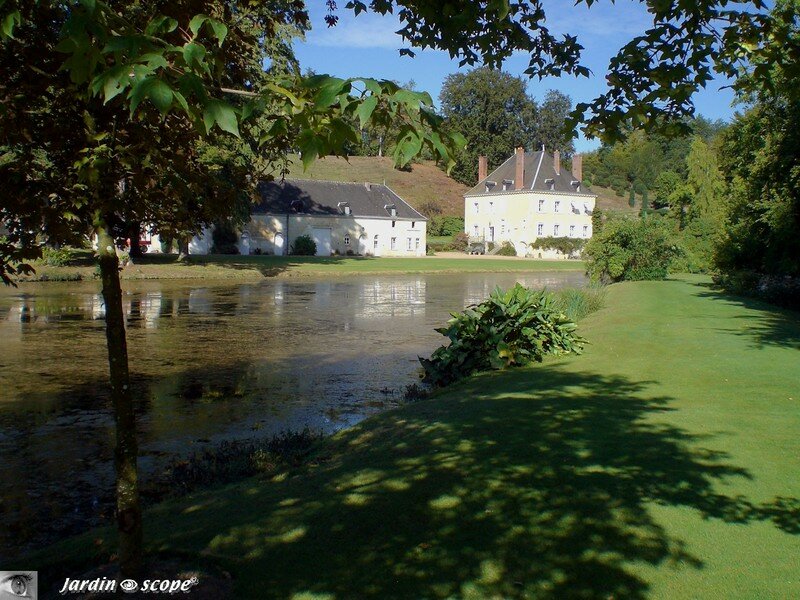 Sur les bords de l'étang