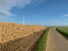 IMG_20221115_143852