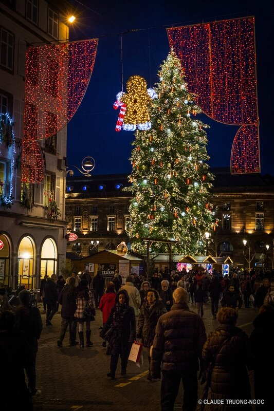 grand sapin 2015