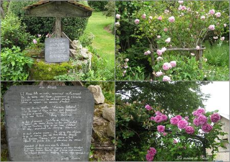 Puits roses