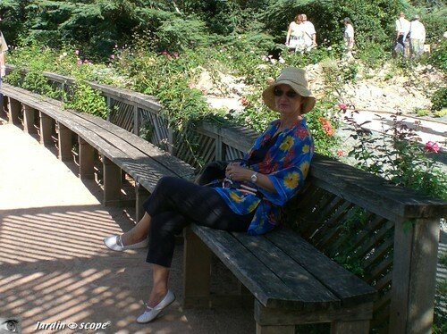 Banquette de la Roseraie au Parc Floral Orléans