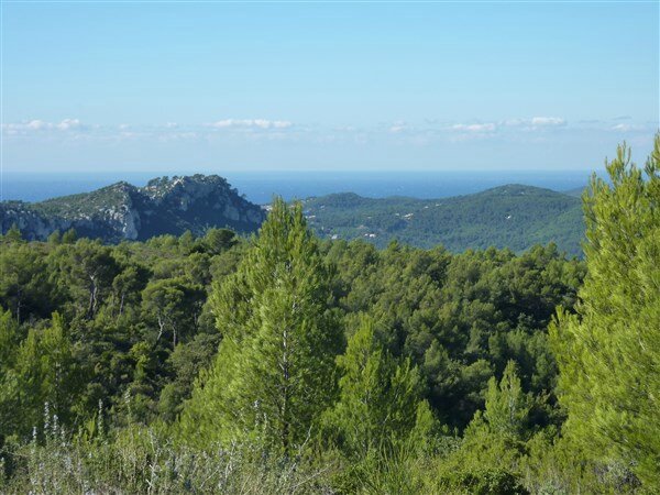 P1020225