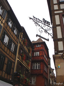 alsace5