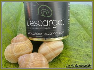 escargots de bourgogne