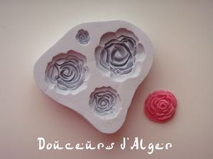 moule silicone roses