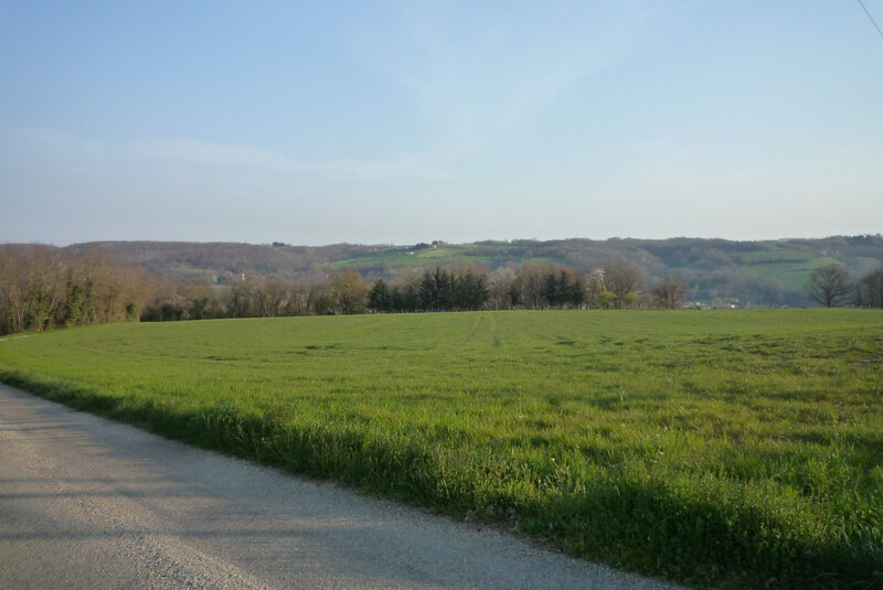 P1810601