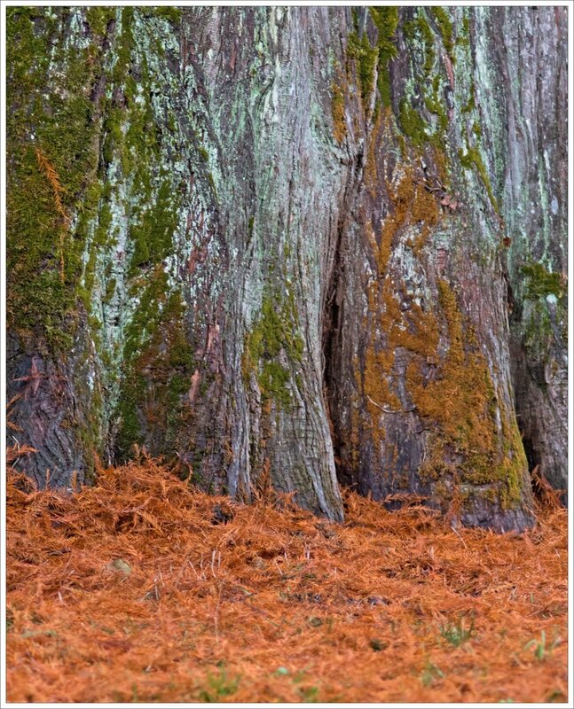 ville pachyderme couleurs 231216 1