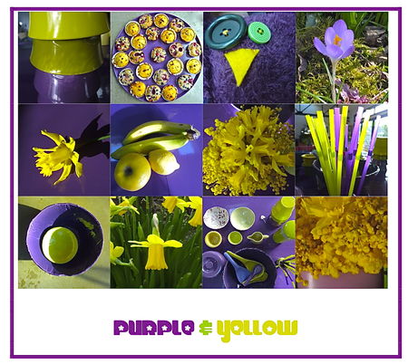 purple___yellow