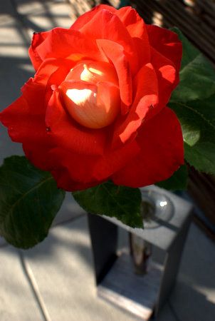 DSC_0014