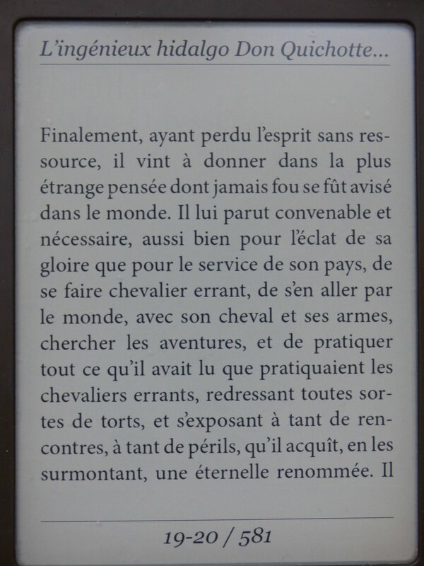 Don Quichotte 2