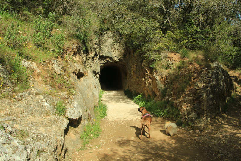 Rando Pont-du-Gard00013