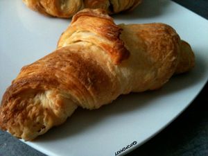 IMG_0555