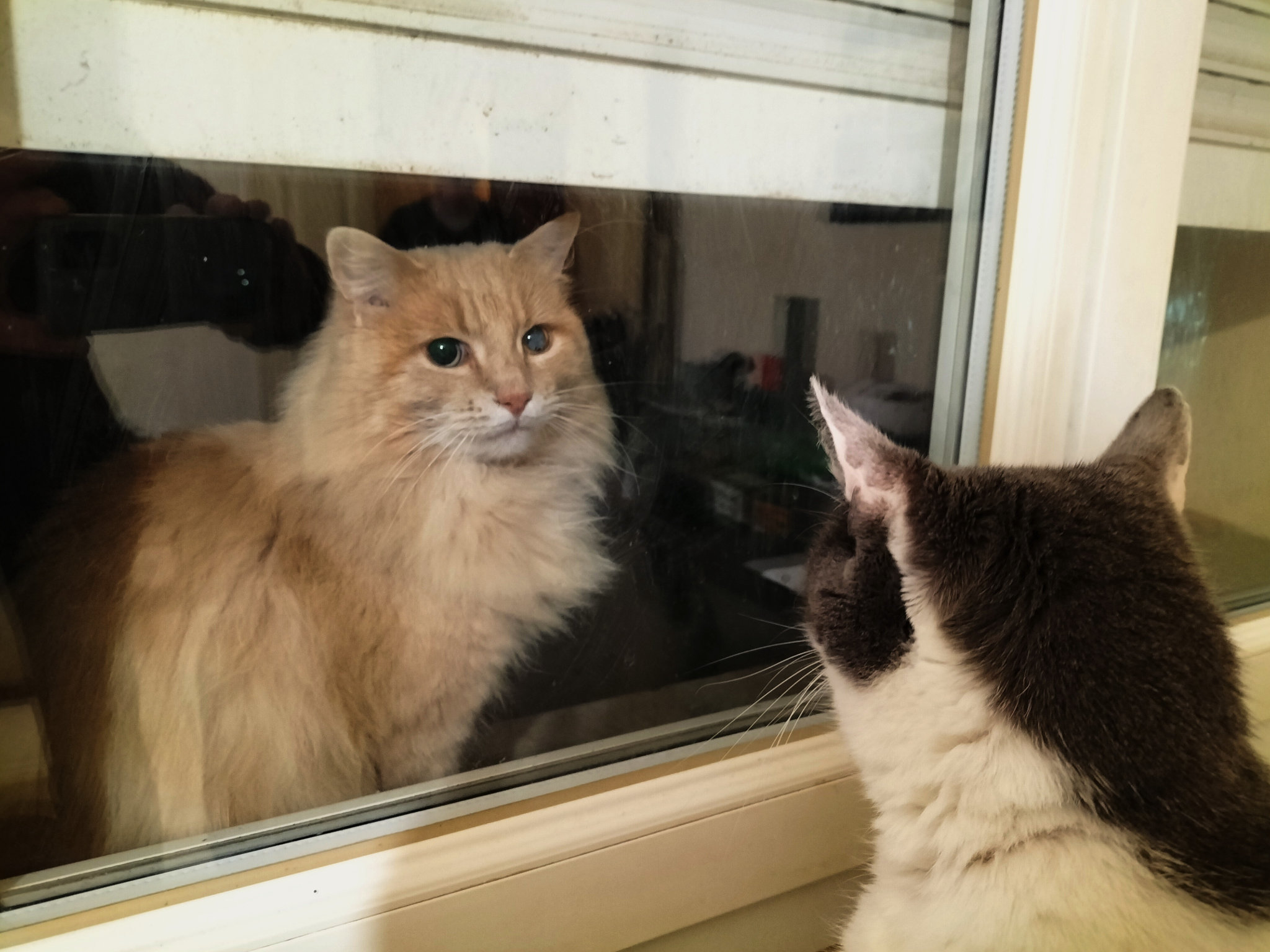 Pompon et Marcel
