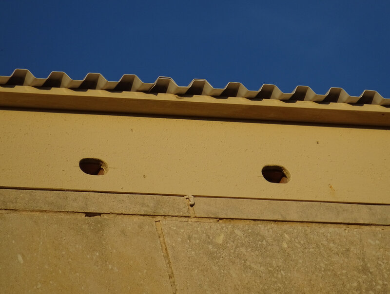 DSC00347