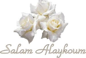 salam alaycoum new