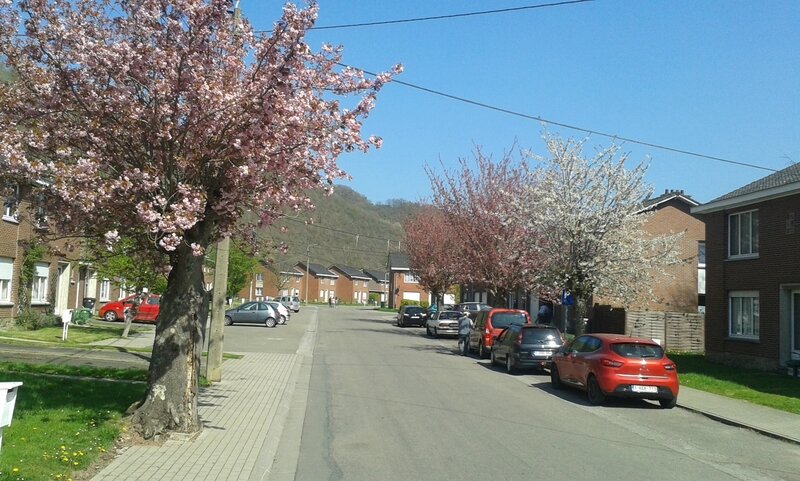 20170409_144835