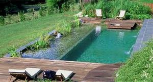 piscine naturelle