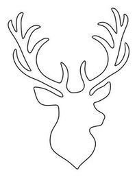 cerf1