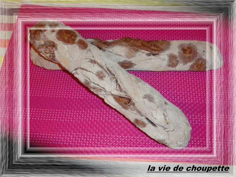 Novembre_2013 084