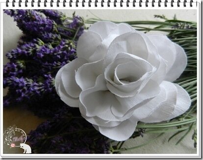 rose tissu