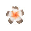 fleur_polymere_marron_blanc_orange