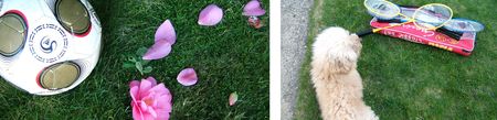 fleur_ballon