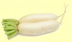 Navet 2 ou radis blanc