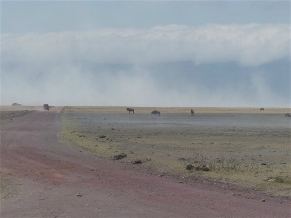 P1140183