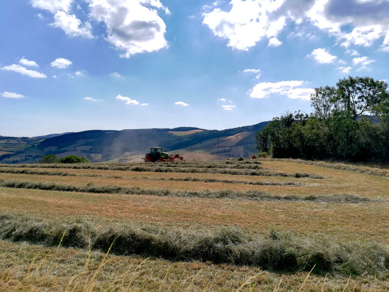 paysage de fenaison (2) 14 juillet 2019