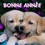 bonne_ann_e