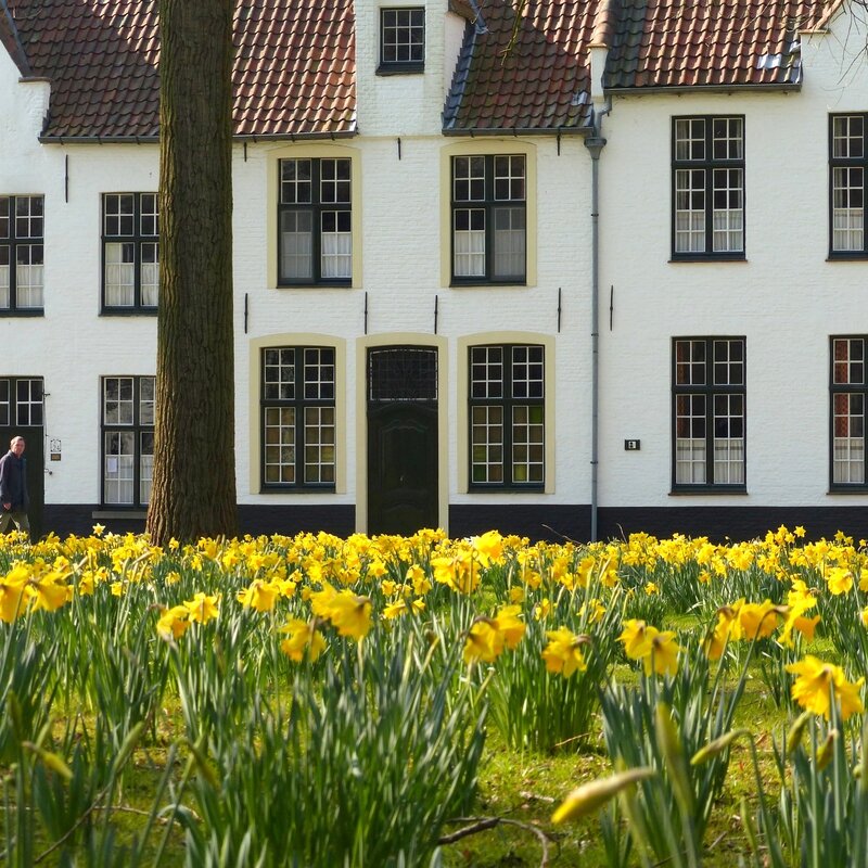 a bruges beguinage mars2016