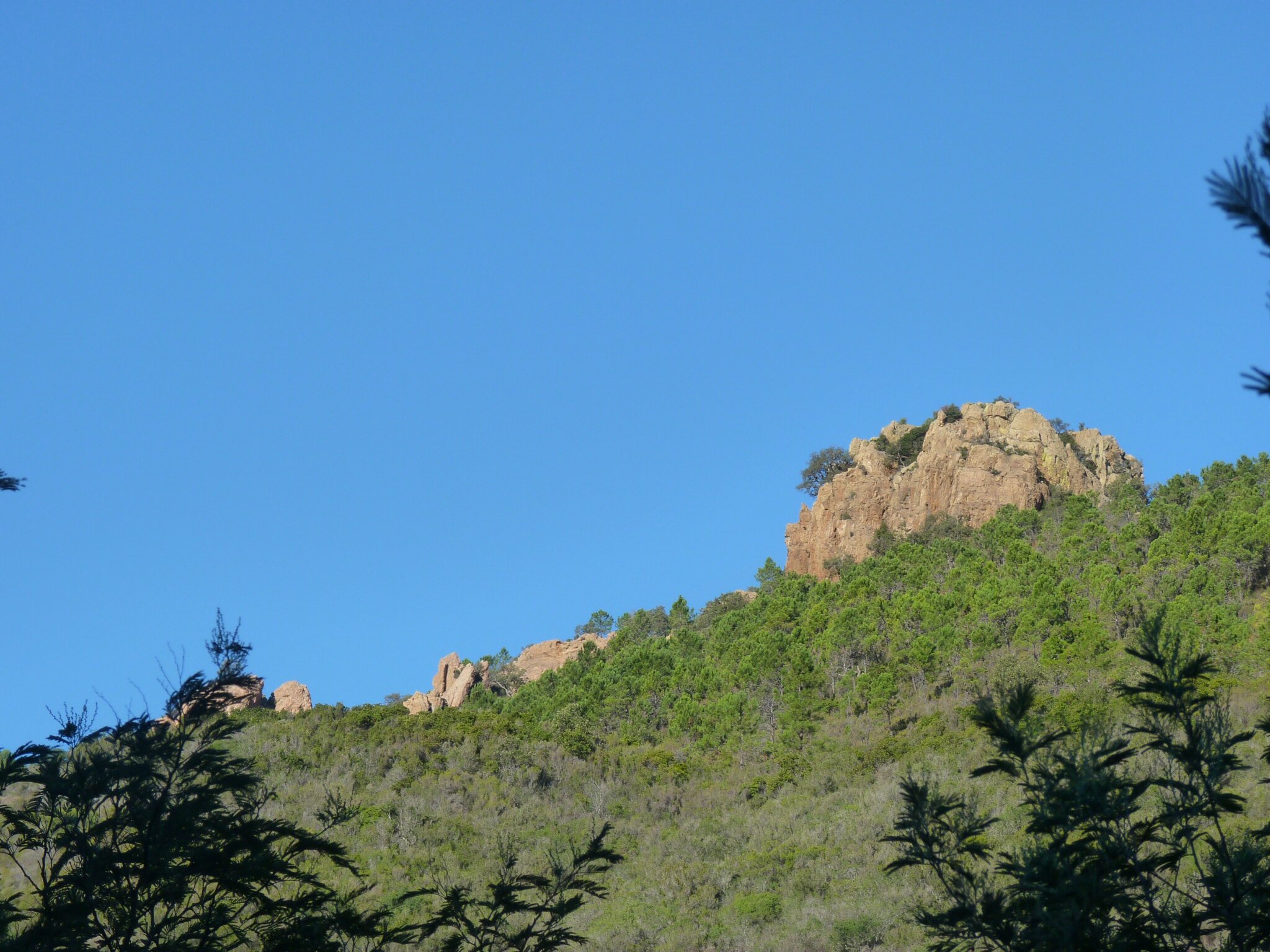 P1110077