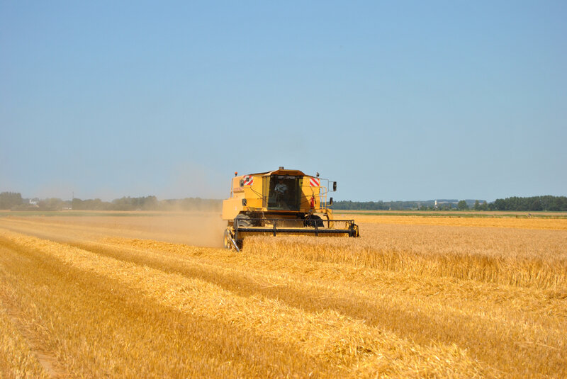 baromesnil moisson bellengreville 23_07_2019 103 (18)