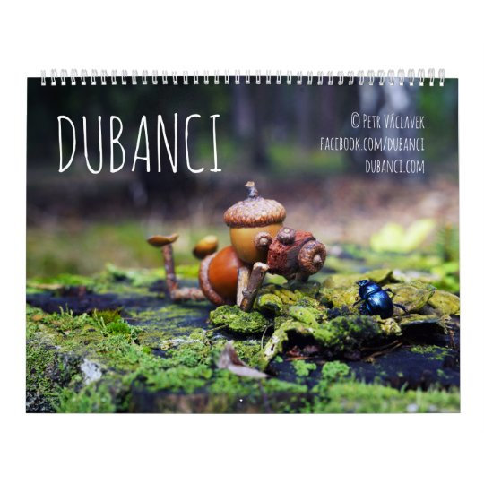 calendrier_de_dubanci-r46fa14e3d73b41bc8bcab63e8a1a1dc1_uzc5n_8byvr_540