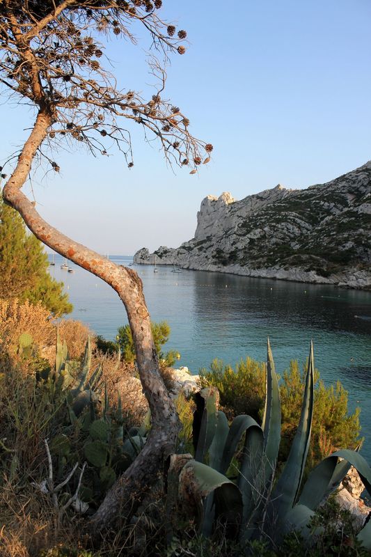 Calanque de Sormiou